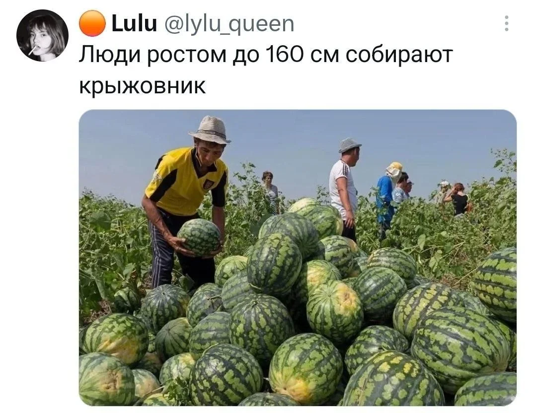 Воскресный юмор: то, что точно поднимет настроение юмор, мемы, приколы, осень, подборка