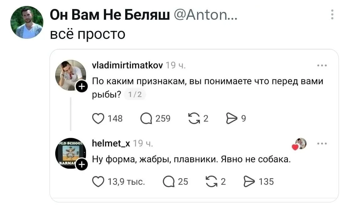 Воскресный юмор: то, что точно поднимет настроение юмор, мемы, приколы, осень, подборка
