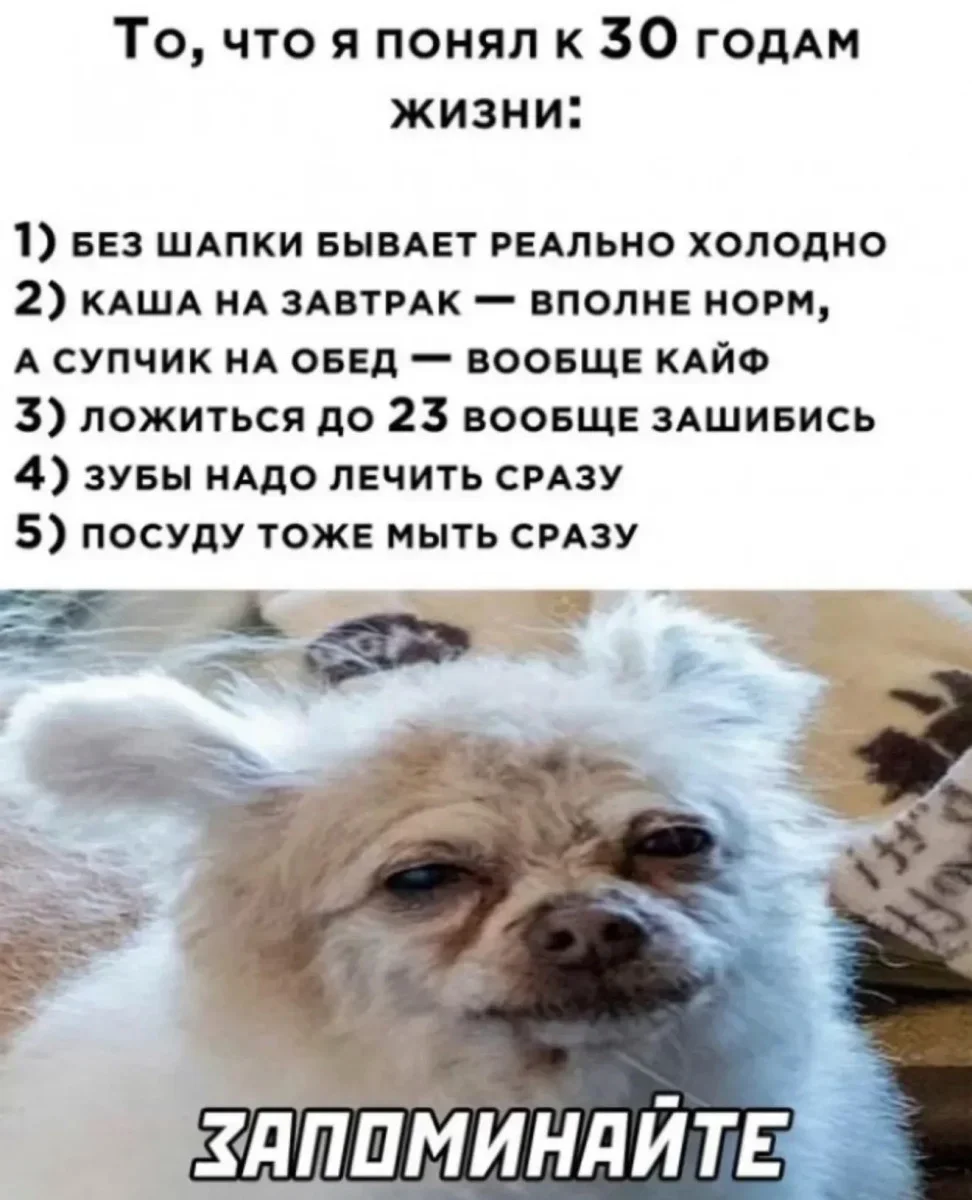 Воскресный юмор: то, что точно поднимет настроение юмор, мемы, приколы, осень, подборка