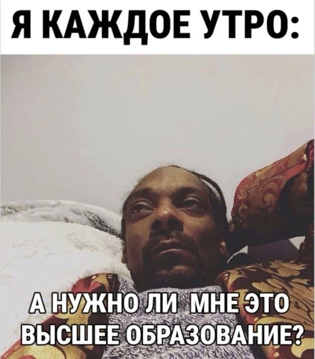 Это просто жираф на самокате. Дальше — больше приколы, подборка, странное, жираф, абсурд