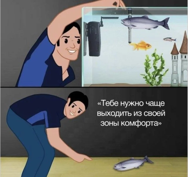 Это просто жираф на самокате. Дальше — больше приколы, подборка, странное, жираф, абсурд
