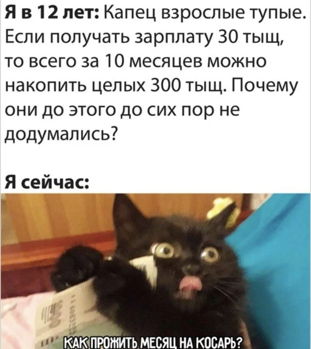 Это просто жираф на самокате. Дальше — больше приколы, подборка, странное, жираф, абсурд
