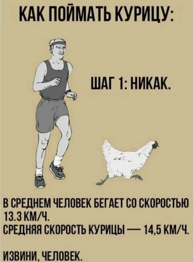 Это просто жираф на самокате. Дальше — больше