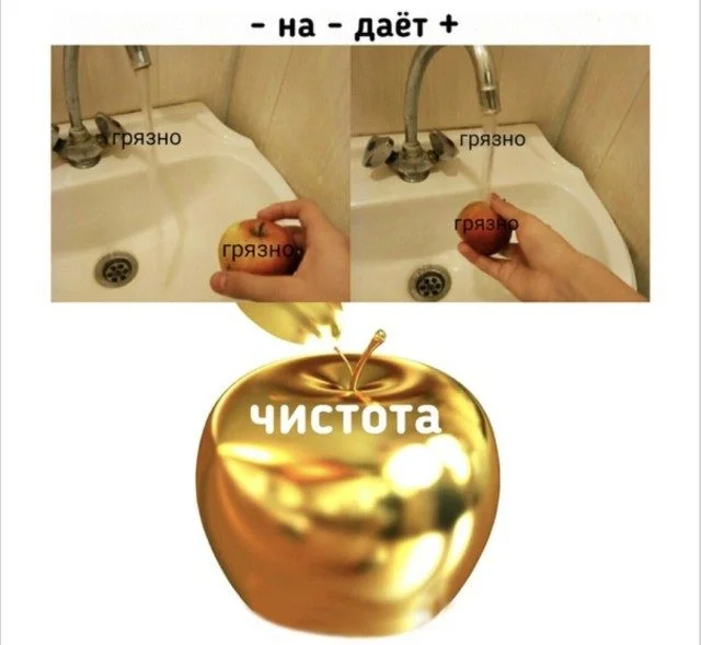Это просто жираф на самокате. Дальше — больше приколы, подборка, странное, жираф, абсурд