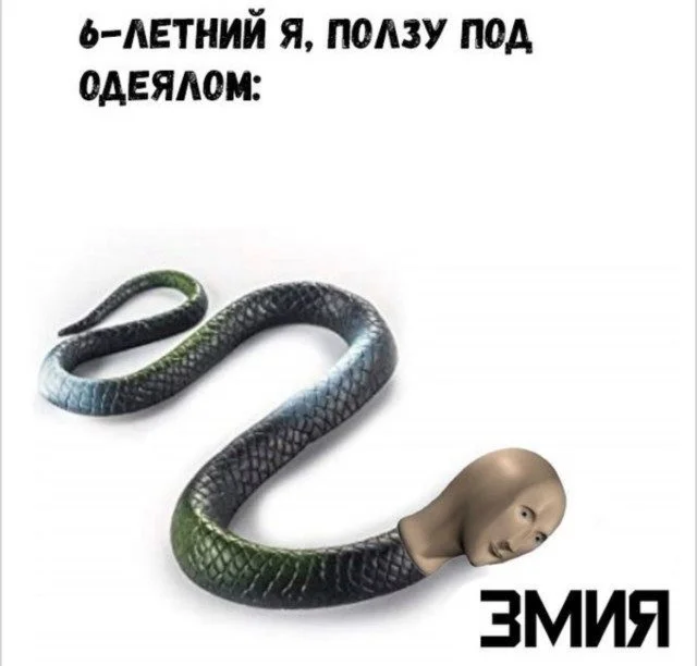 Это просто жираф на самокате. Дальше — больше приколы, подборка, странное, жираф, абсурд
