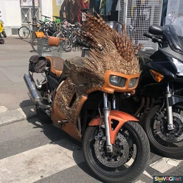 Вопросы без ответов: 18 фото, которые ломают логику приколы, зачем, странное, фото, подборка, абсурд, смешное