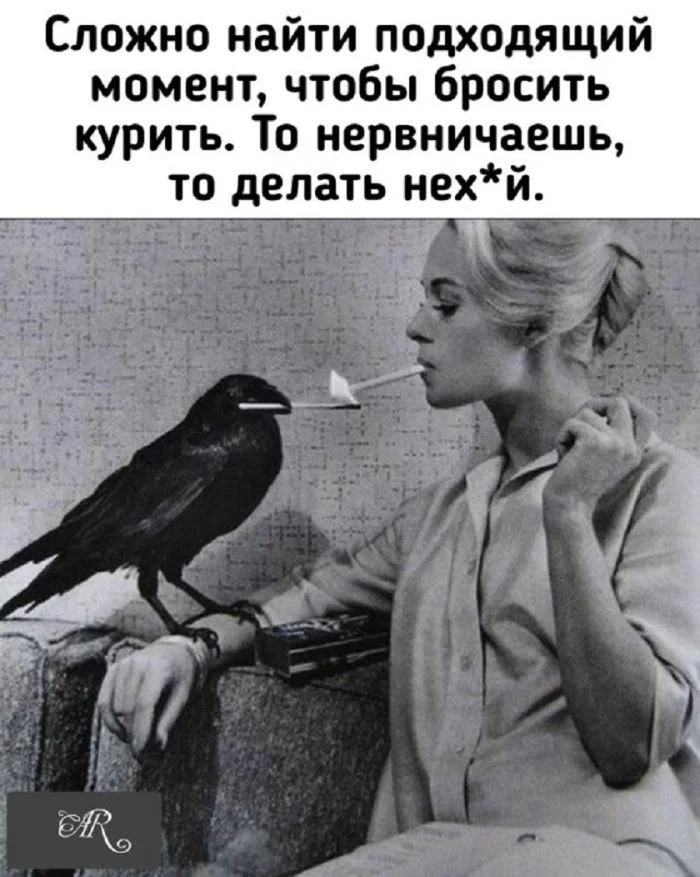 Кофе пролит, день не задался? Держи порцию мемов Кофе пролит, день не задался? Держи порцию мемов мемы, приколы, понедельник, настроение, юмор
