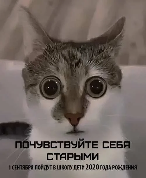 Кофе пролит, день не задался? Держи порцию мемов Кофе пролит, день не задался? Держи порцию мемов мемы, приколы, понедельник, настроение, юмор