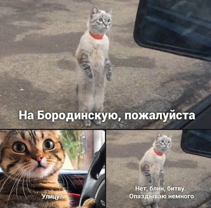 Кофе пролит, день не задался? Держи порцию мемов Кофе пролит, день не задался? Держи порцию мемов мемы, приколы, понедельник, настроение, юмор