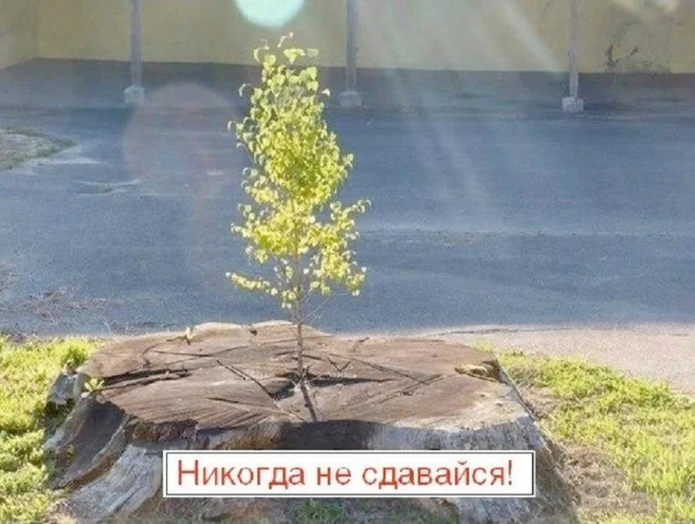 Заряд позитива: лучшие мемы для хорошего дня Заряд позитива: лучшие мемы для хорошего дня мемы, приколы, юмор, подборка, картинки