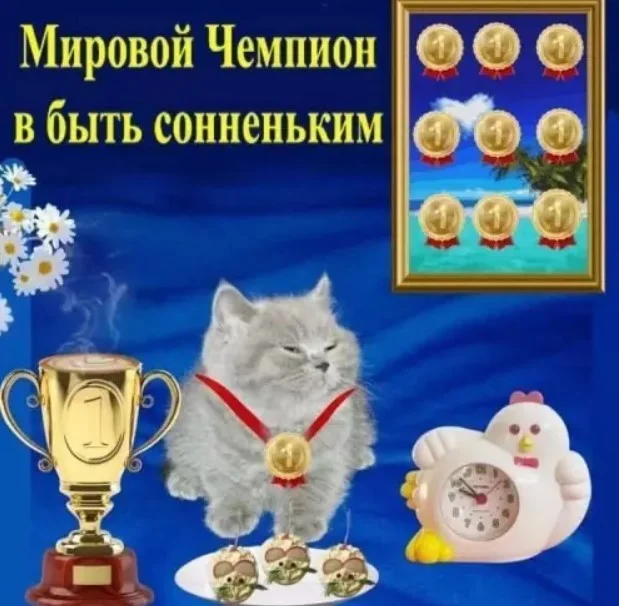 Заряд позитива: лучшие мемы для хорошего дня Заряд позитива: лучшие мемы для хорошего дня мемы, приколы, юмор, подборка, картинки