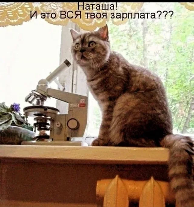 Заряд позитива: лучшие мемы для хорошего дня Заряд позитива: лучшие мемы для хорошего дня мемы, приколы, юмор, подборка, картинки