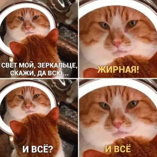 Заряд позитива: лучшие мемы для хорошего дня Заряд позитива: лучшие мемы для хорошего дня мемы, приколы, юмор, подборка, картинки