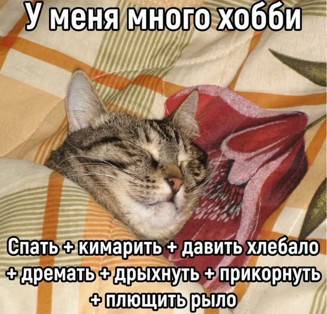 Заряд позитива: лучшие мемы для хорошего дня Заряд позитива: лучшие мемы для хорошего дня мемы, приколы, юмор, подборка, картинки