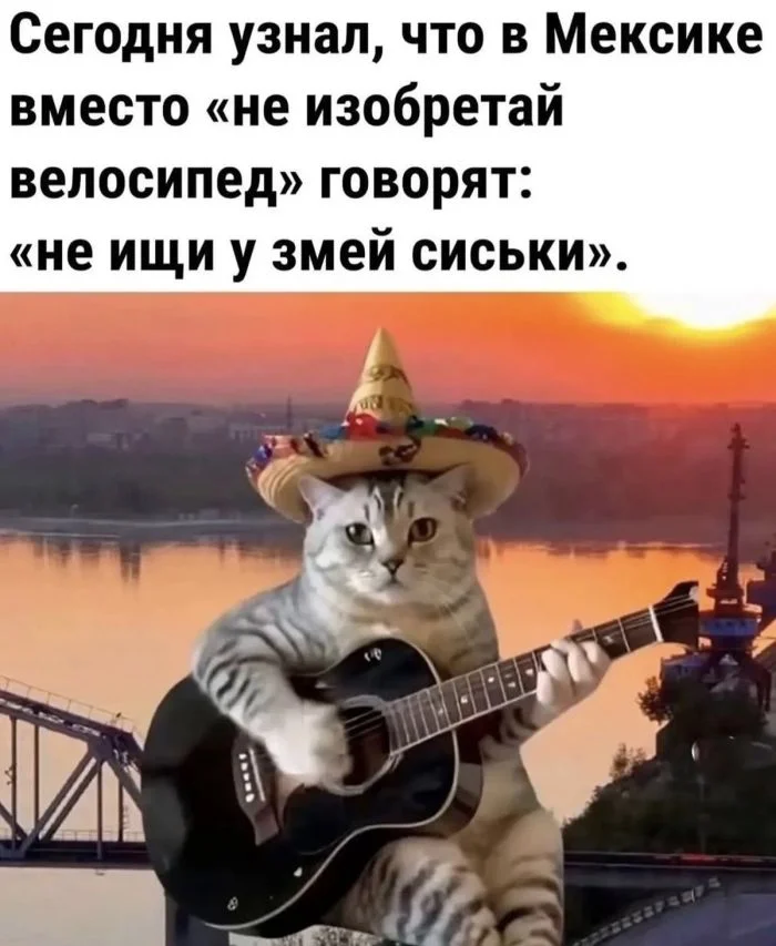 Заряд позитива: лучшие мемы для хорошего дня Заряд позитива: лучшие мемы для хорошего дня мемы, приколы, юмор, подборка, картинки