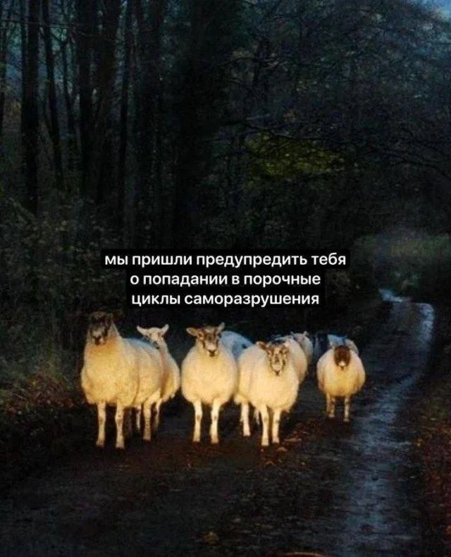 Заряд позитива: лучшие мемы для хорошего дня Заряд позитива: лучшие мемы для хорошего дня мемы, приколы, юмор, подборка, картинки