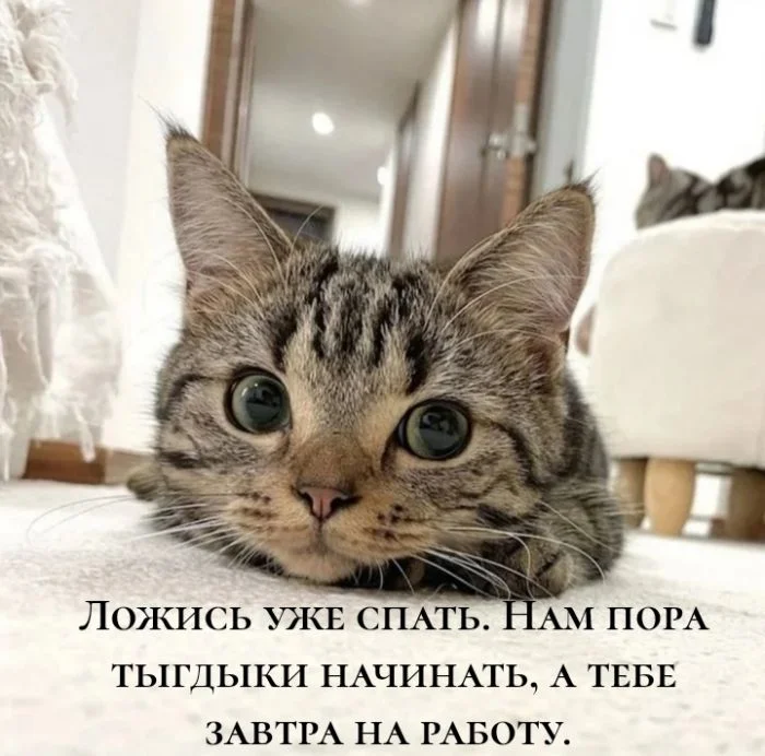 Заряд позитива: лучшие мемы для хорошего дня Заряд позитива: лучшие мемы для хорошего дня мемы, приколы, юмор, подборка, картинки