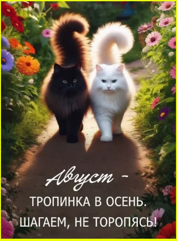 Появление на свет — это только старт. Забавные иллюстрации