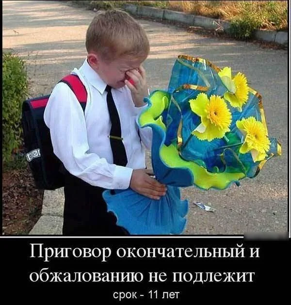 Смешные мемы про 1 Сентября мемы, приколы, школа, 1 сентября, подборка