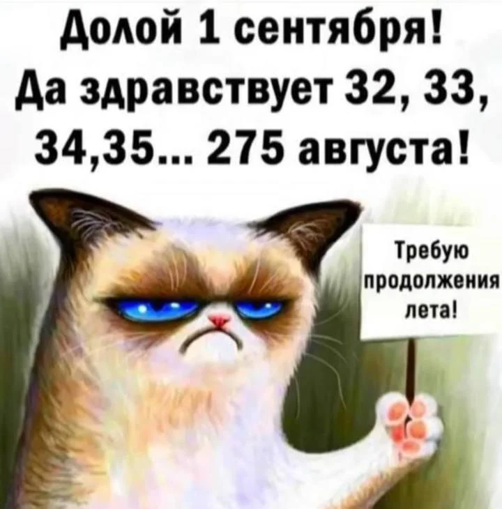 Смешные мемы про 1 Сентября мемы, приколы, школа, 1 сентября, подборка