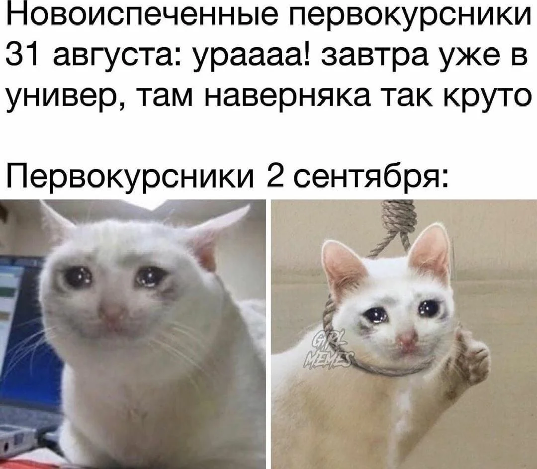 Смешные мемы про 1 Сентября мемы, приколы, школа, 1 сентября, подборка