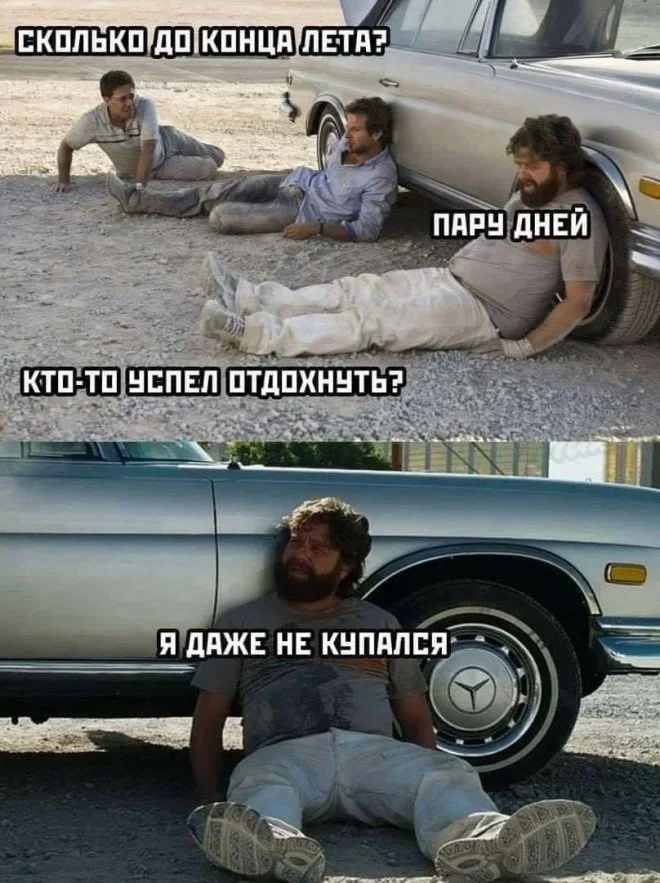 Заряд смеха на первое сентября мемы, приколы, юмор