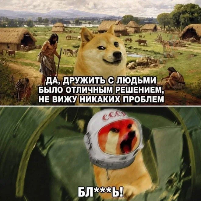 Заряд смеха на первое сентября мемы, приколы, юмор