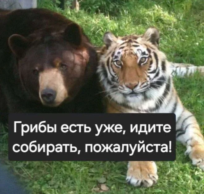 Заряд смеха на первое сентября мемы, приколы, юмор