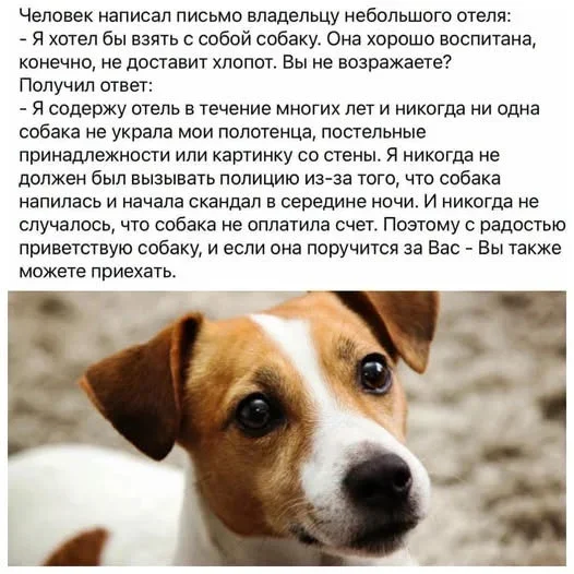 Заряд смеха на первое сентября мемы, приколы, юмор