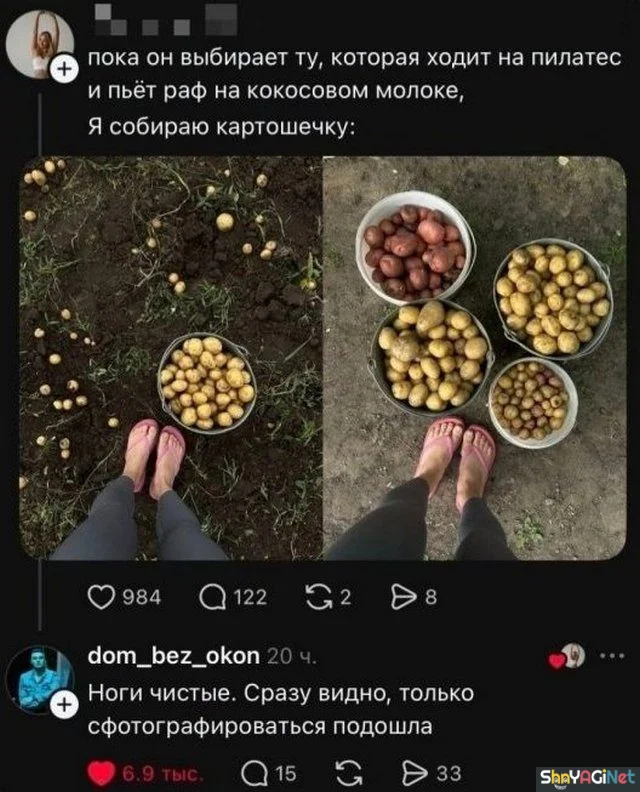 Смех до слез: лучшие комментарии недели юмор, приколы, комментарии, соцсети
