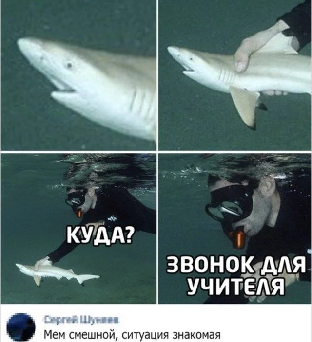 Мемы, которые отправят в отпуск даже твой холодильник Мемы, которые отправят в отпуск даже твой холодильник мемы, приколы, подборка, работа, отпуск, юмор