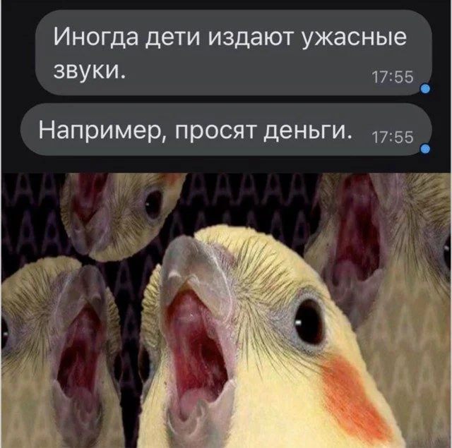 Мемы, которые отправят в отпуск даже твой холодильник