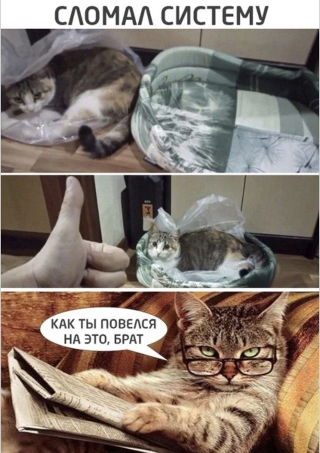 Мемы, которые отправят в отпуск даже твой холодильник Мемы, которые отправят в отпуск даже твой холодильник мемы, приколы, подборка, работа, отпуск, юмор