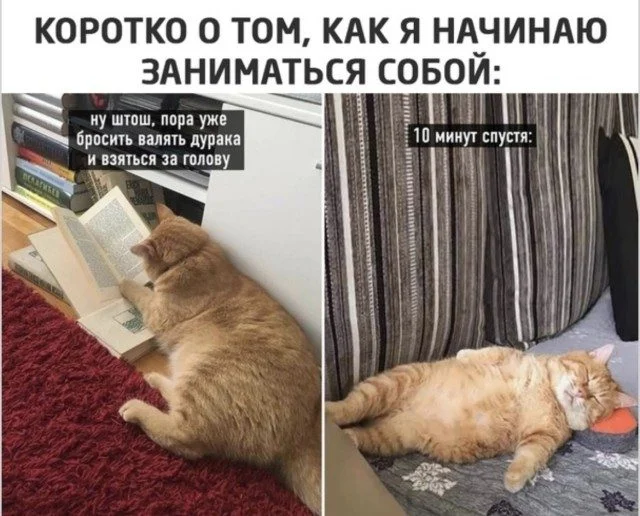 Лекарство от плохого дня: убойная подборка мемов Лекарство от плохого дня: убойная подборка мемов мемы, приколы, юмор, подборка, картинки