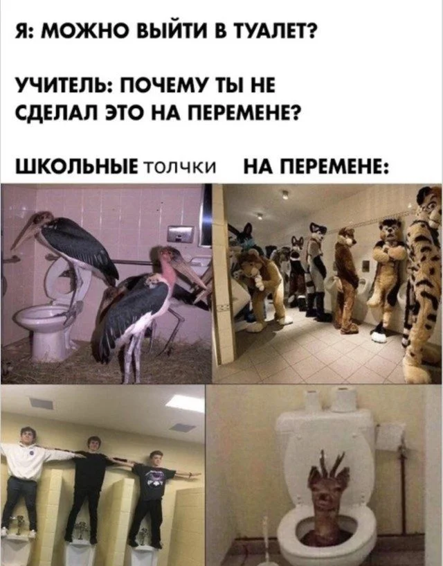 Лекарство от плохого дня: убойная подборка мемов Лекарство от плохого дня: убойная подборка мемов мемы, приколы, юмор, подборка, картинки