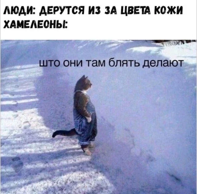 Мемы, которые поняли жизнь лучше вас Мемы, которые поняли жизнь лучше вас мемы, приколы, жизненное, подборка, абсурд, философия, интернет