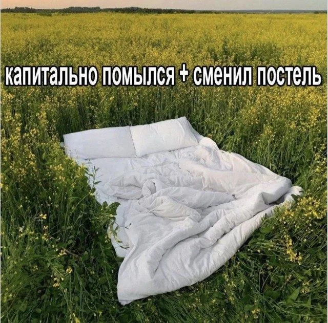 Мемы, которые поняли жизнь лучше вас Мемы, которые поняли жизнь лучше вас мемы, приколы, жизненное, подборка, абсурд, философия, интернет