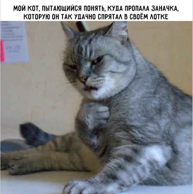 Мемы, которые поняли жизнь лучше вас Мемы, которые поняли жизнь лучше вас мемы, приколы, жизненное, подборка, абсурд, философия, интернет