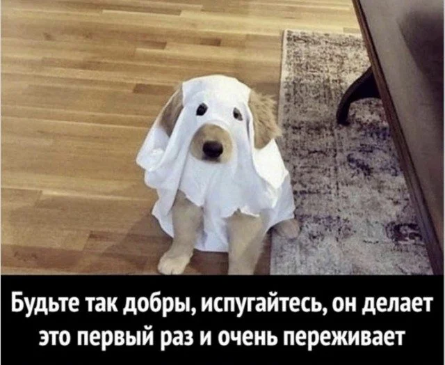 Мемы, которые поняли жизнь лучше вас Мемы, которые поняли жизнь лучше вас мемы, приколы, жизненное, подборка, абсурд, философия, интернет