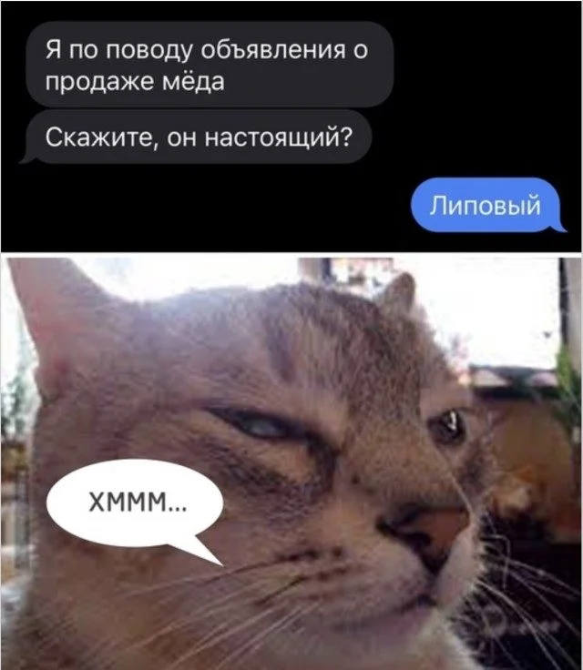 Мемы, которые поняли жизнь лучше вас Мемы, которые поняли жизнь лучше вас мемы, приколы, жизненное, подборка, абсурд, философия, интернет