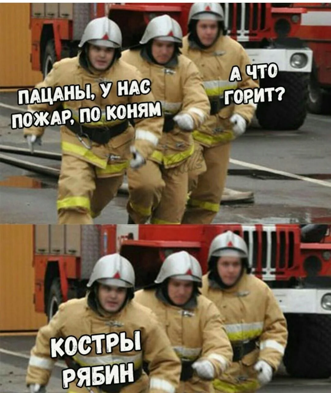 День Шуфутинского: угарные мемы про 3 сентября День Шуфутинского: угарные мемы про 3 сентября мемы, приколы, шуфутинский, 3 сентября
