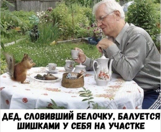 Смех без повода: улетная подборка картинок Смех без повода: улетная подборка картинок приколы, картинки, юмор