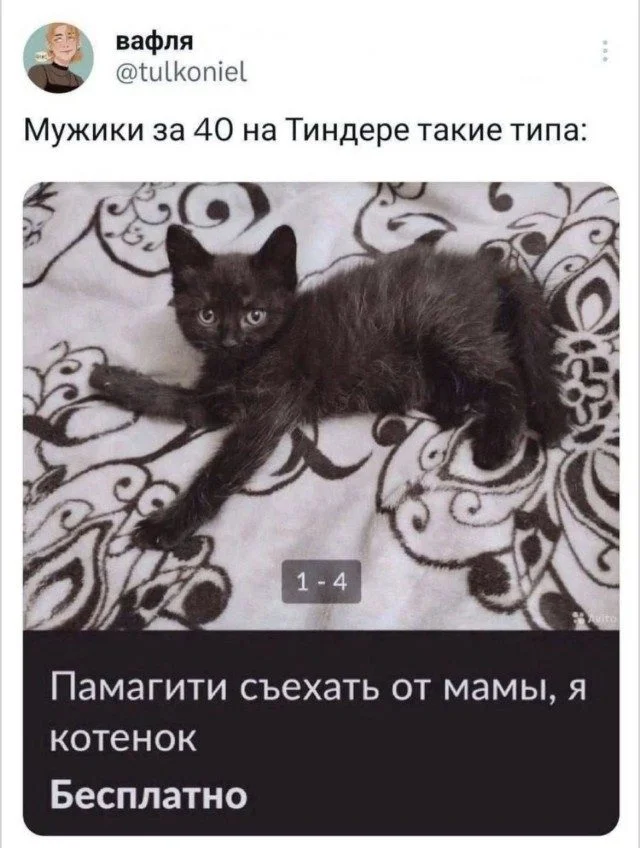 Смех без повода: улетная подборка картинок Смех без повода: улетная подборка картинок приколы, картинки, юмор
