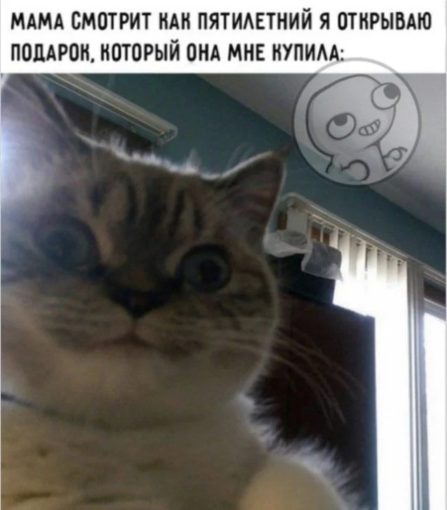 Коллекция мемов, от которой невозможно оторваться Коллекция мемов, от которой невозможно оторваться мемы, приколы, юмор, картинки, подборка