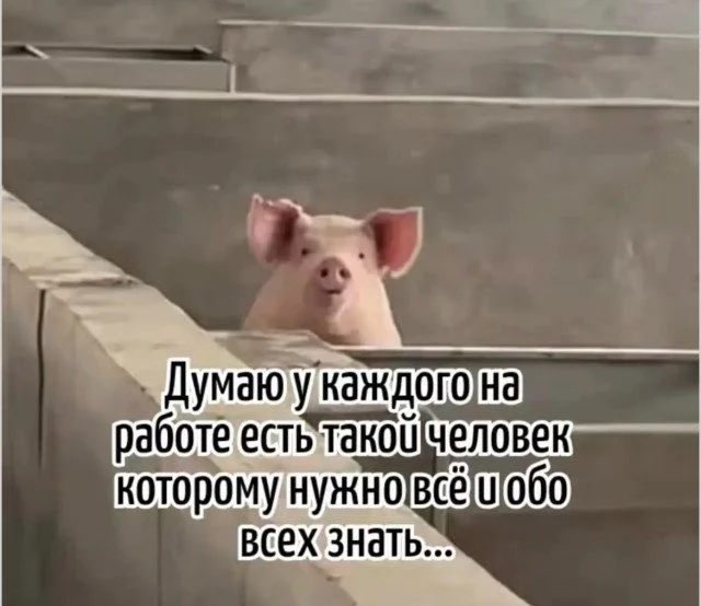 Коллекция мемов, от которой невозможно оторваться Коллекция мемов, от которой невозможно оторваться мемы, приколы, юмор, картинки, подборка