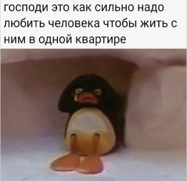 Коллекция мемов, от которой невозможно оторваться Коллекция мемов, от которой невозможно оторваться мемы, приколы, юмор, картинки, подборка