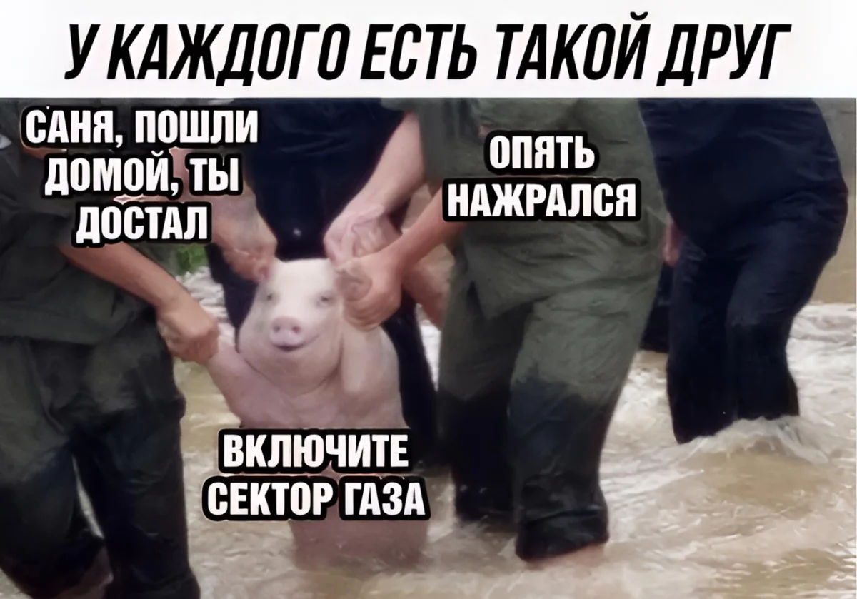 Три аккорда и море смеха: 27-я подборка музыкальных мемов Три аккорда и море смеха: 27-я подборка музыкальных мемов мемы, музыка, приколы, подборка, юмор