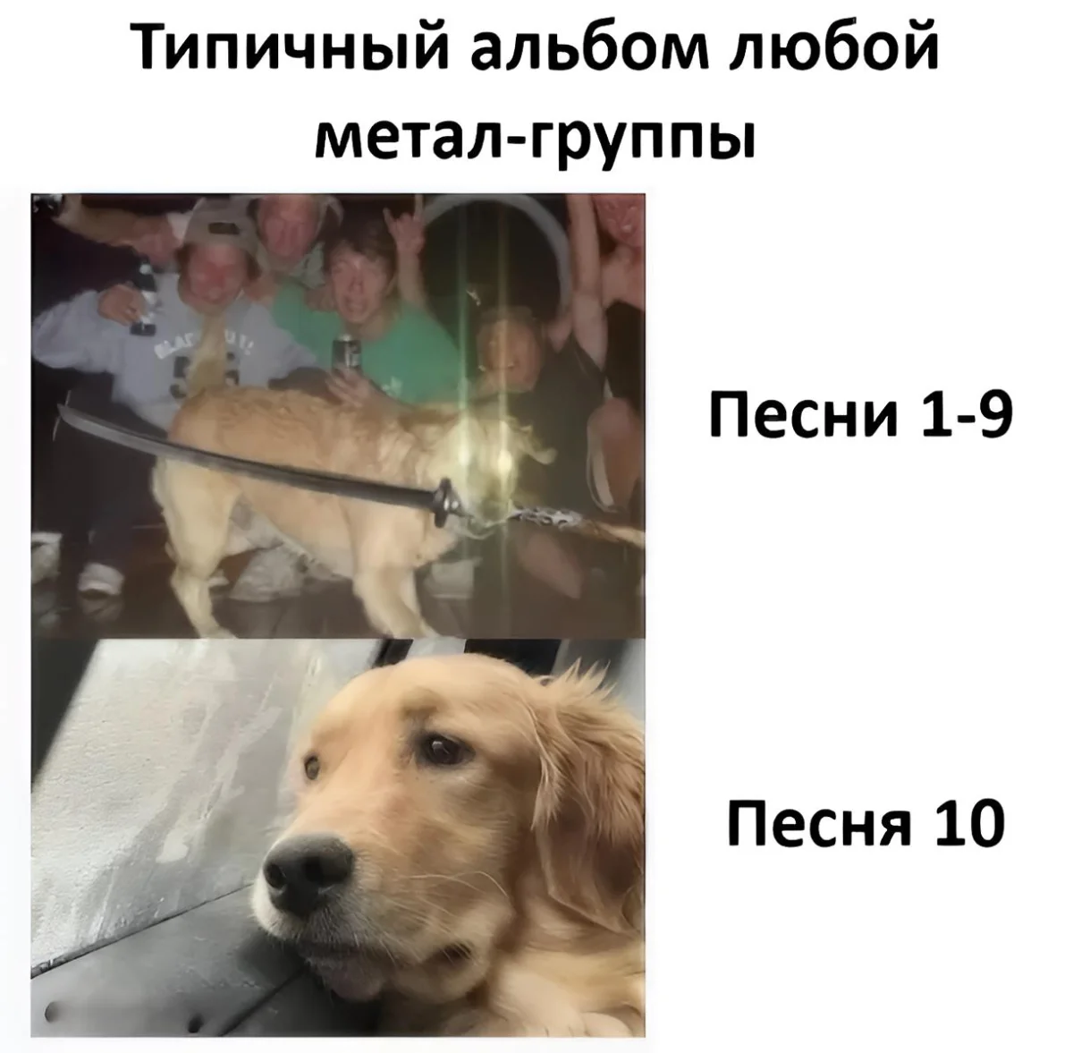 Три аккорда и море смеха: 27-я подборка музыкальных мемов Три аккорда и море смеха: 27-я подборка музыкальных мемов мемы, музыка, приколы, подборка, юмор
