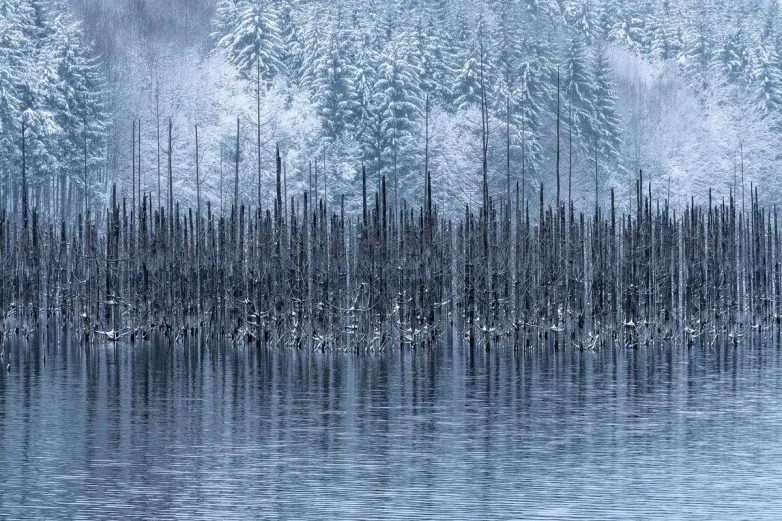 Природа, от которой захватывает дух: 24 кадра от фотографа, покорившего National Geographic фотография, природа, пейзажи, National Geographic, Георге Попа, Румыния, награды, путешествия