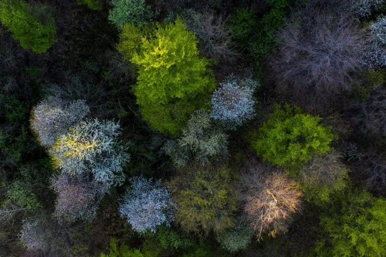Природа, от которой захватывает дух: 24 кадра от фотографа, покорившего National Geographic фотография, природа, пейзажи, National Geographic, Георге Попа, Румыния, награды, путешествия